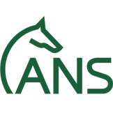 ANS Logo